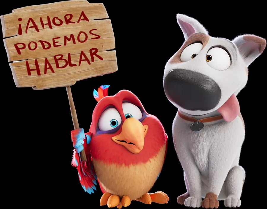 Jeff y Belzoni